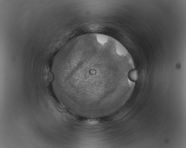 X0000116630651200912312201