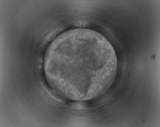 X0000116630652200912312201