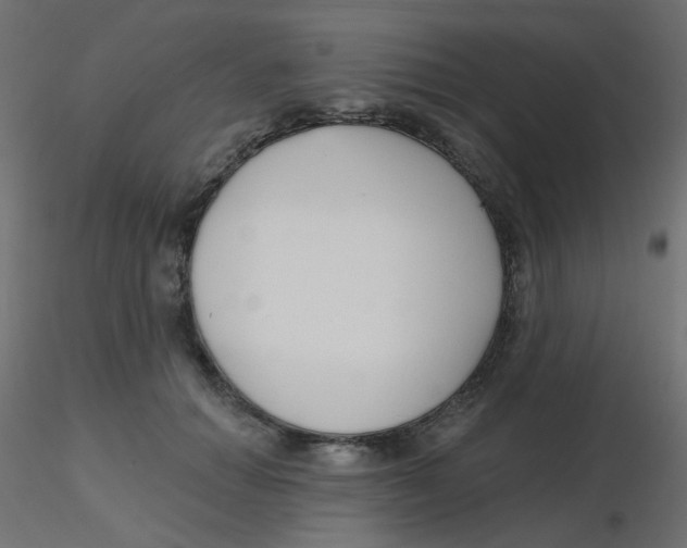 X0000116630654200912312201