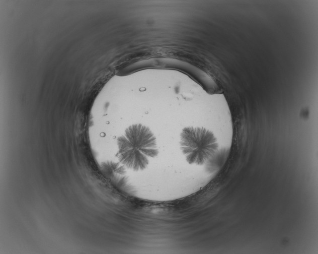 X0000116630655200912312201