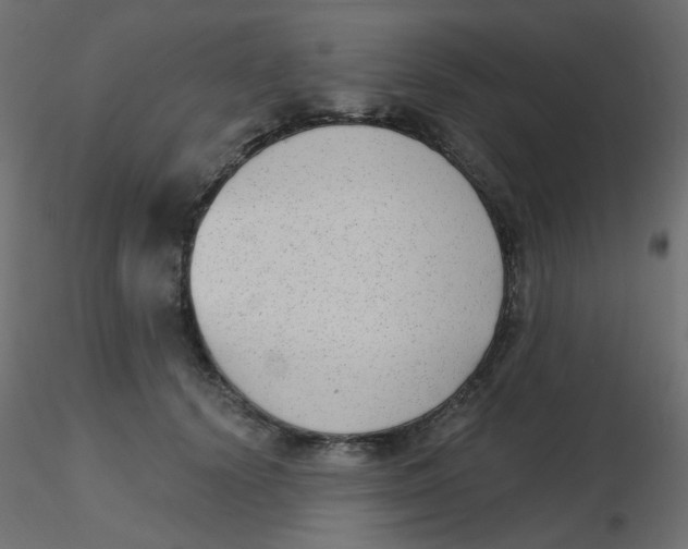 X0000116630656200912312201