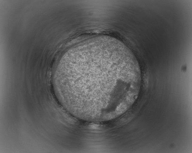 X0000116630657200912312201