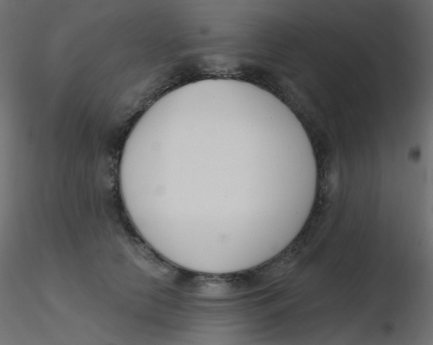 X0000116630658200912312201