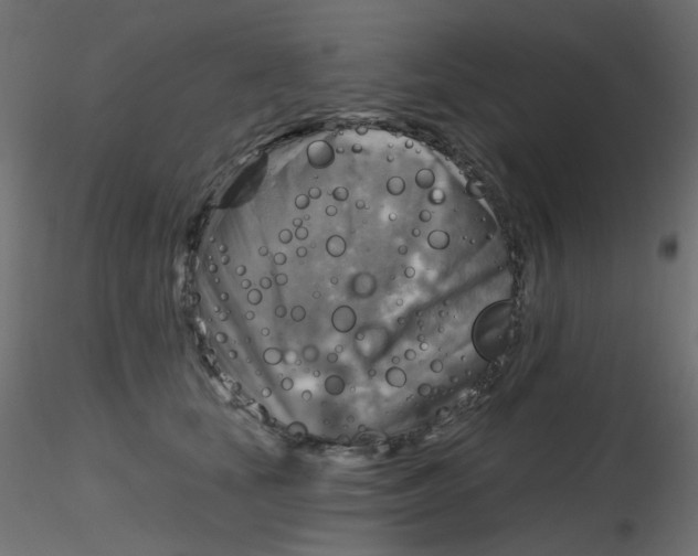 X0000116630659200912312201