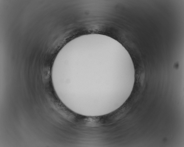X0000116630660200912312201