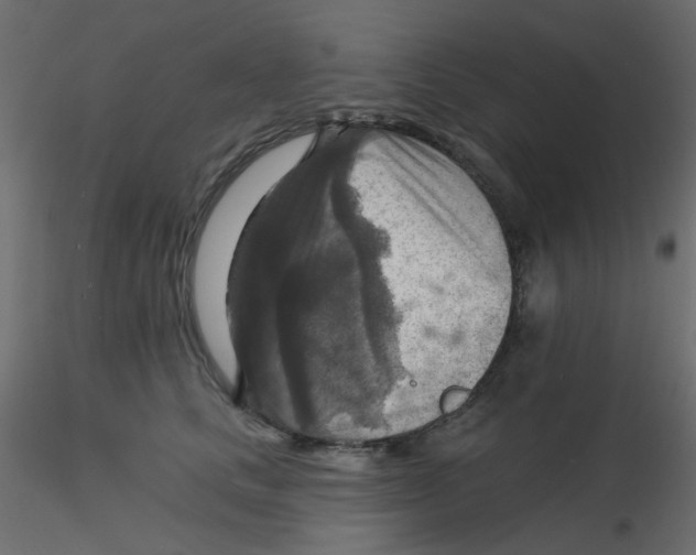 X0000116630661200912312201