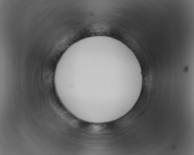 X0000116630662200912312201