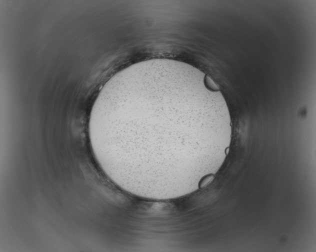 X0000116630663200912312201
