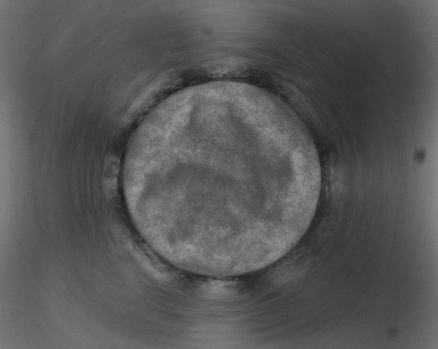 X0000116630664200912312201