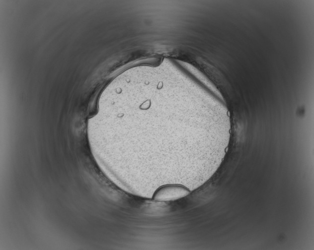 X0000116630665200912312201