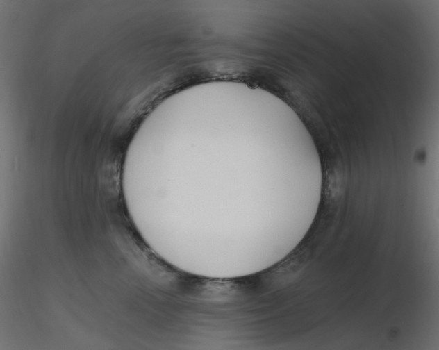 X0000116630666200912312201
