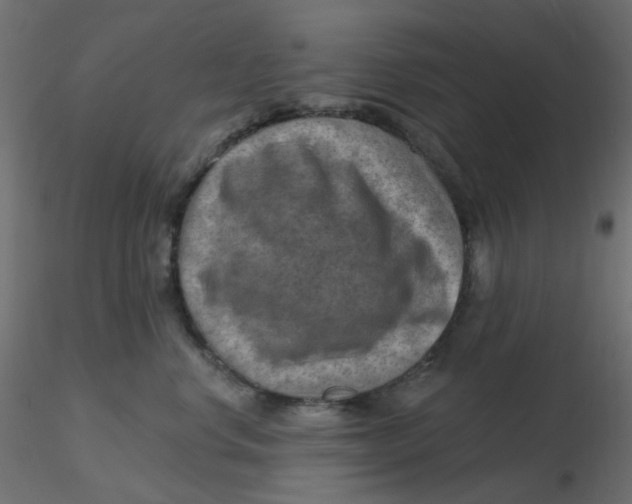 X0000116630668200912312201