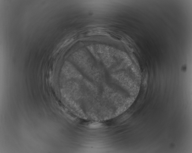X0000116630669200912312201