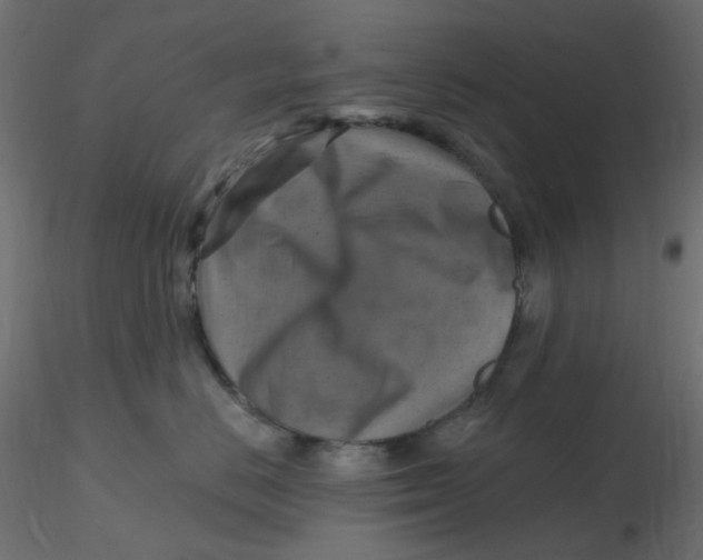X0000116630670200912312201