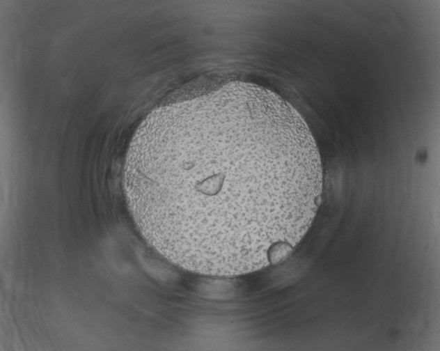 X0000116630671200912312201