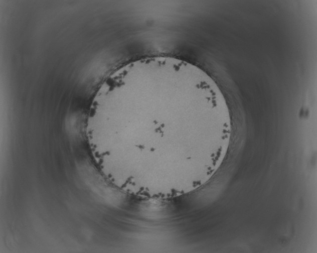 X0000116630672200912312201