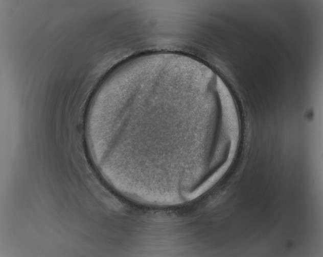 X0000116630673200912312200