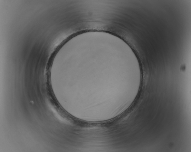 X0000116630674200912312200