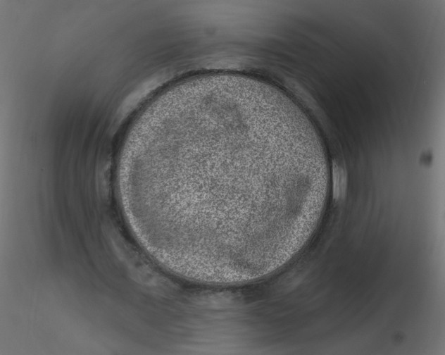 X0000116630675200912312200