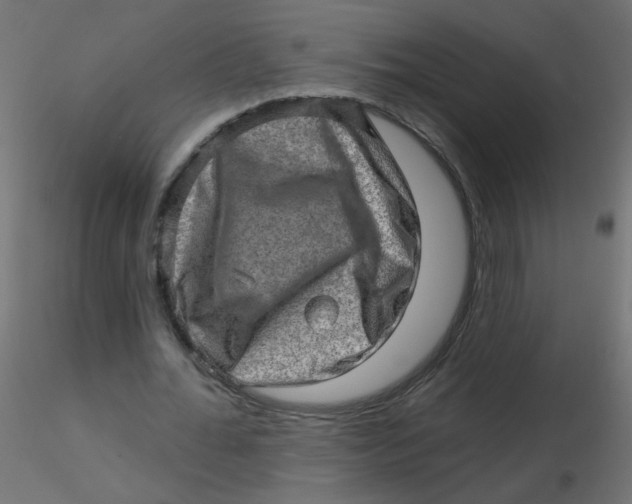 X0000116630676200912312200