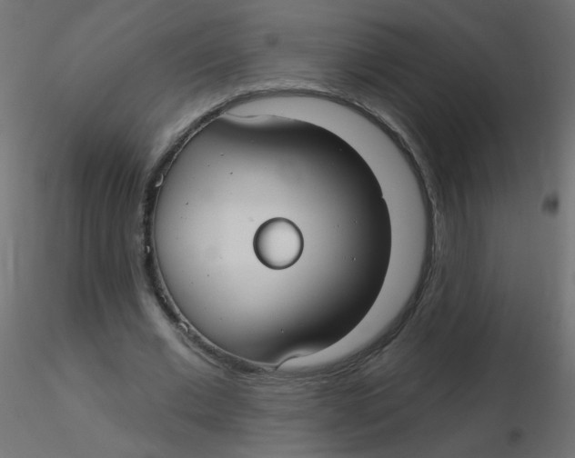 X0000116630677200912312200