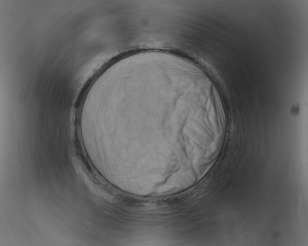 X0000116630678200912312200