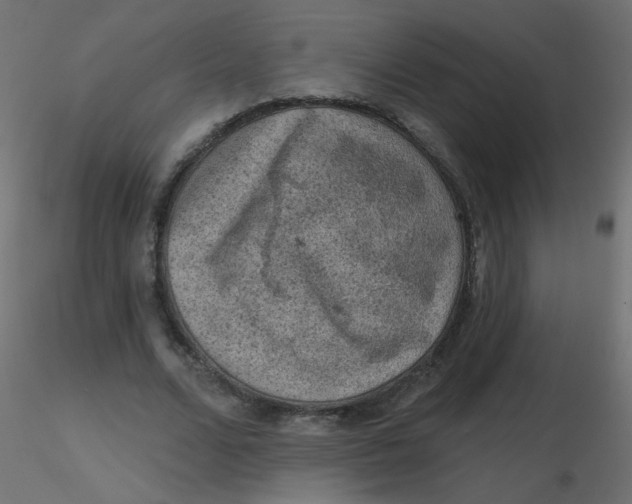 X0000116630680200912312200