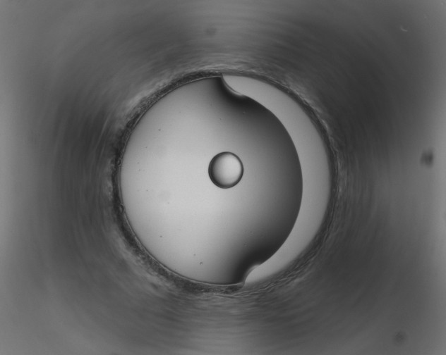 X0000116630681200912312200