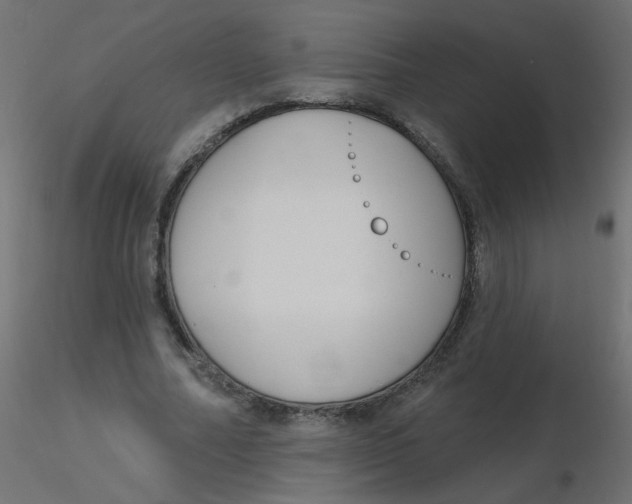 X0000116630682200912312200