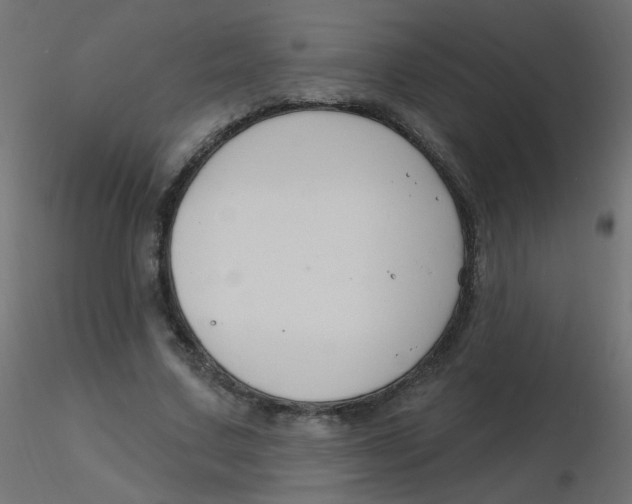 X0000116630683200912312200