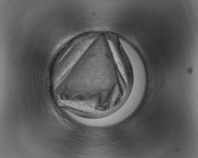 X0000116630684200912312200