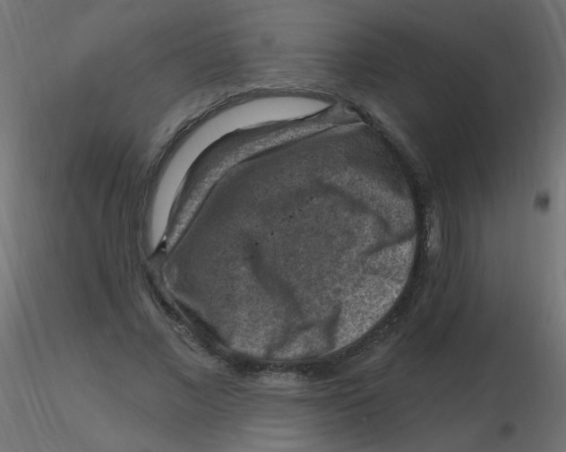 X0000116630685200912312200