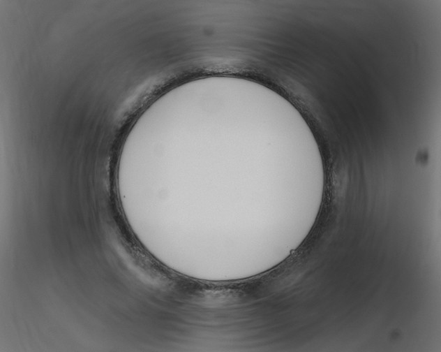 X0000116630686200912312200