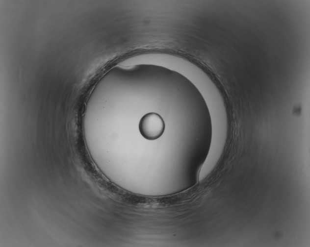 X0000116630688200912312200