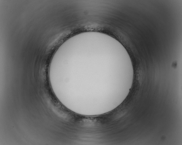 X0000116630690200912312200