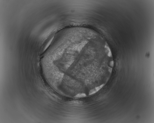 X0000116630691200912312200