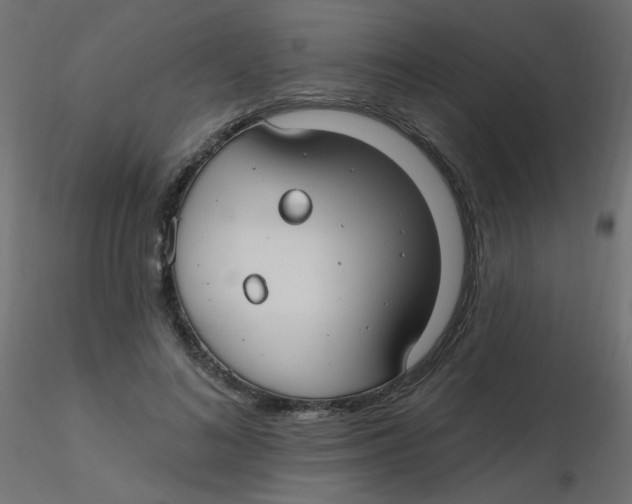 X0000116630692200912312200