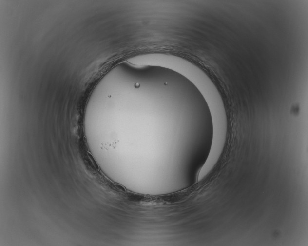 X0000116630693200912312200