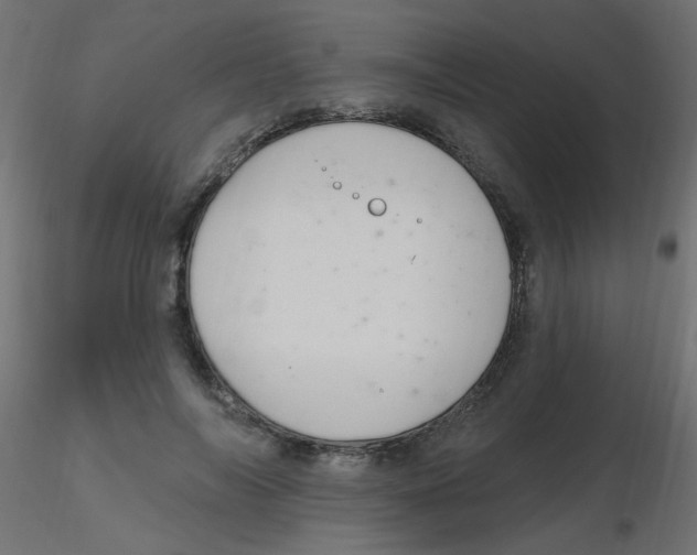 X0000116630694200912312200