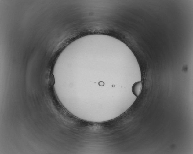 X0000116630695200912312200