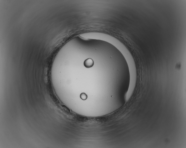 X0000116630696200912312200