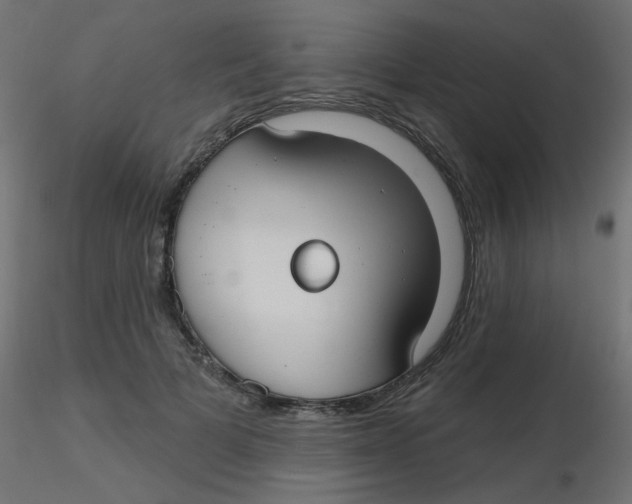 X0000116630697200912312200