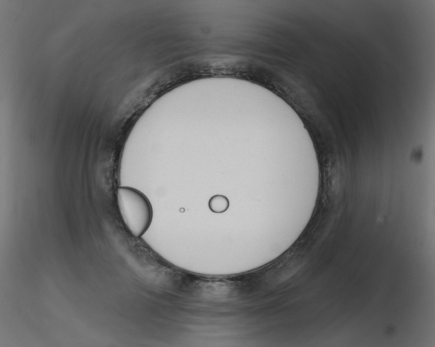 X0000116630698200912312200