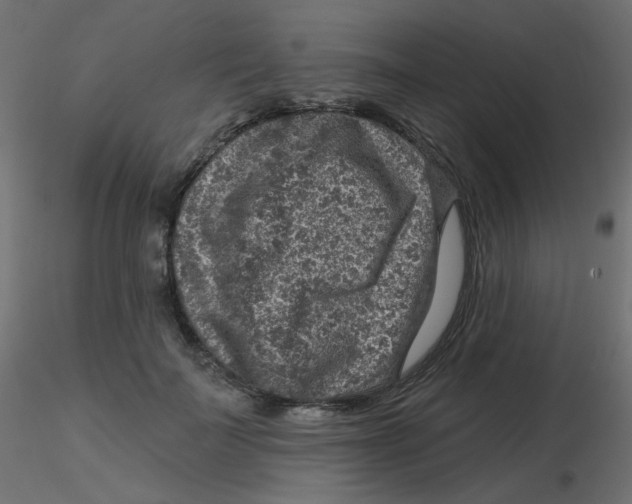X0000116630699200912312200