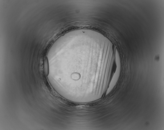 X0000116630700200912312200