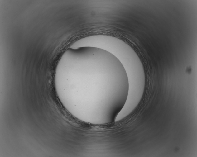 X0000116630701200912312200
