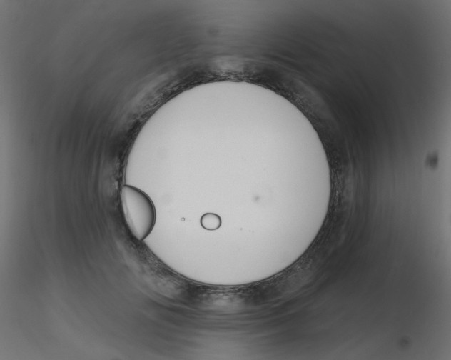 X0000116630702200912312200