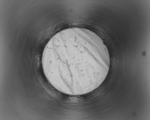 X0000116630703200912312200