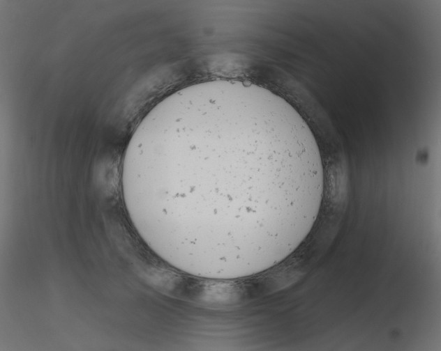 X0000116630705200912312200
