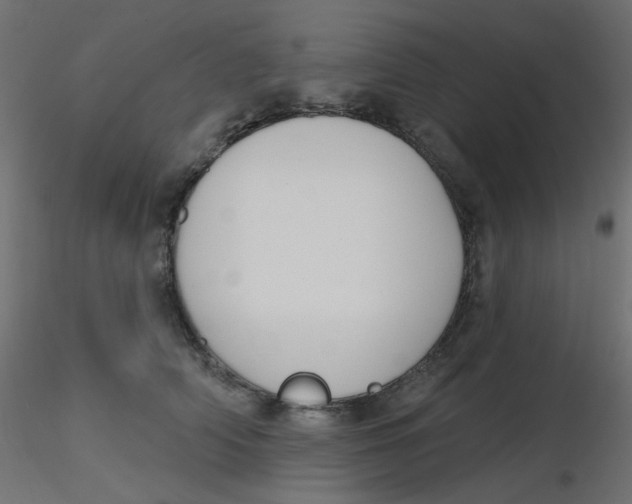 X0000116630706200912312200